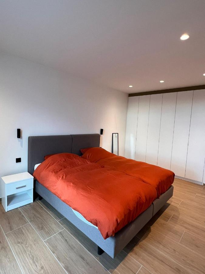 Aparthotel Denia ロヒリスティ エクステリア 写真